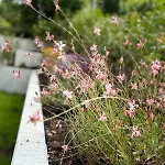 Apartmán Blackforest 22