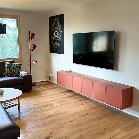 Apartamento Blackforest 22 Binzen