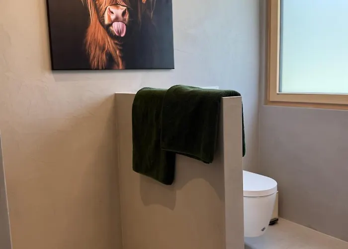 Blackforest 22 بينزن