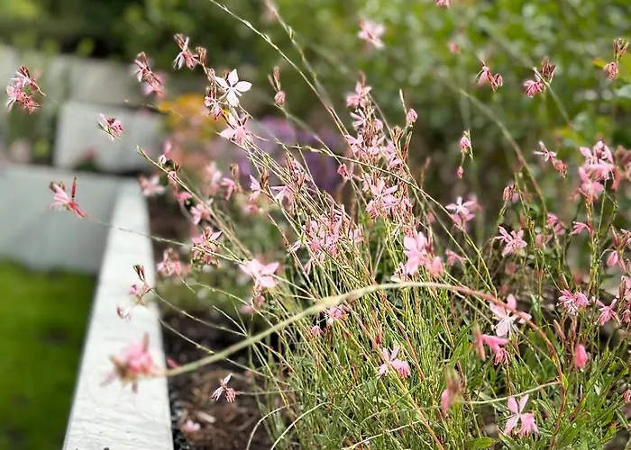 شقة Blackforest 22